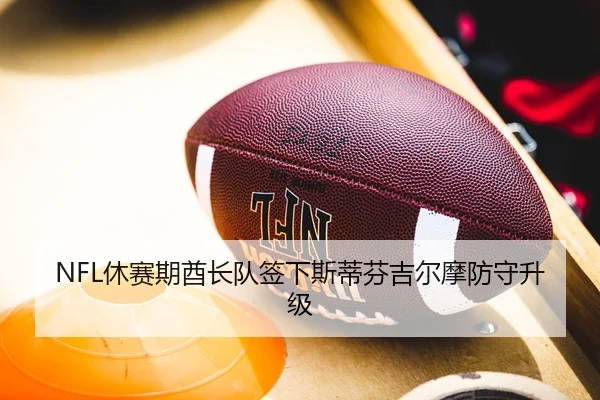 NFL休赛期酋长队签下斯蒂芬吉尔摩防守升级